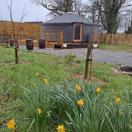 The Snowdrop Hotel Galway Buitenkant foto