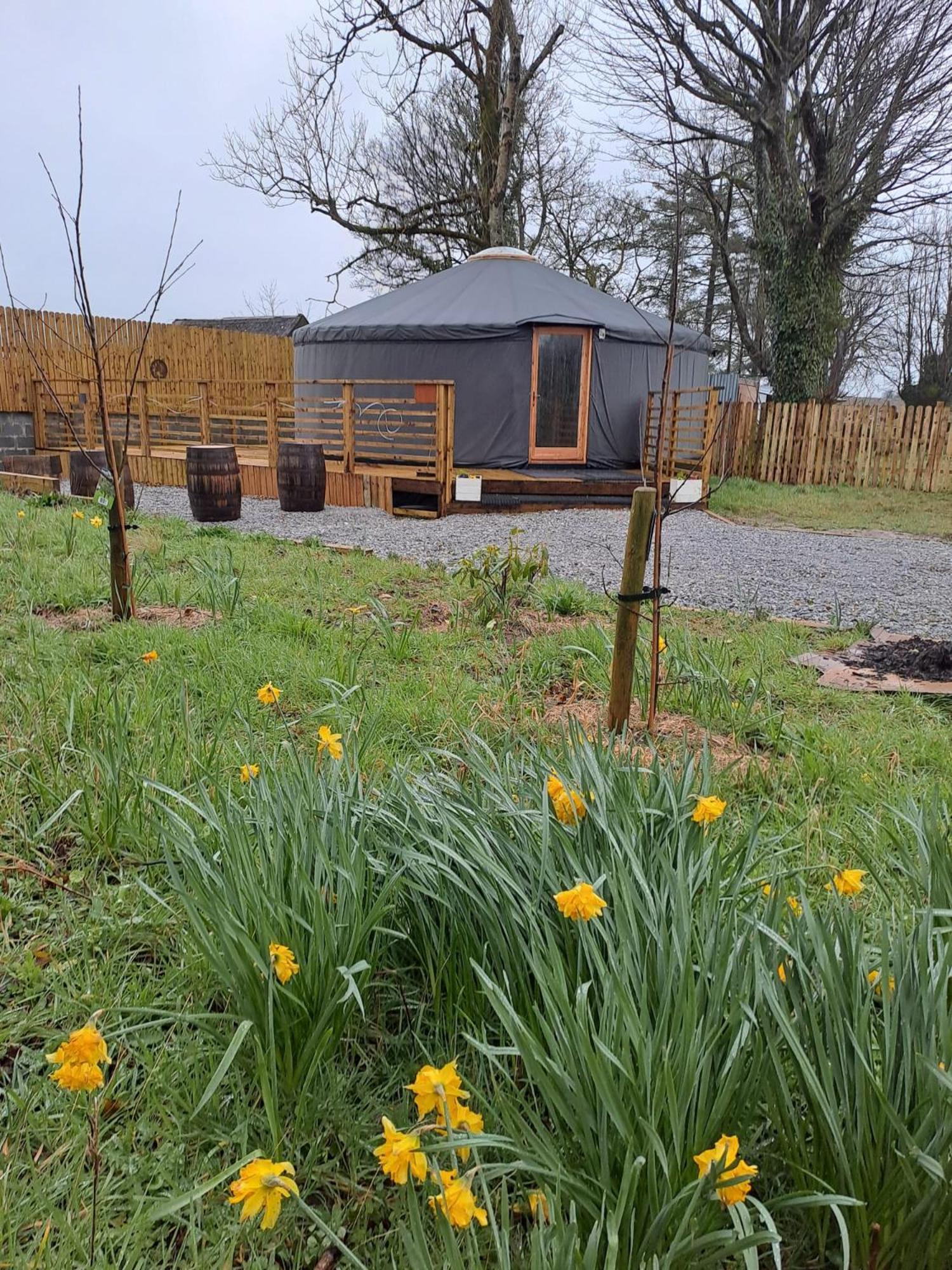 The Snowdrop Hotel Galway Buitenkant foto